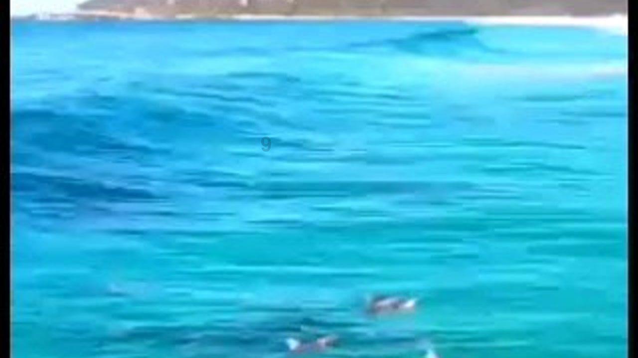 世界杯换装