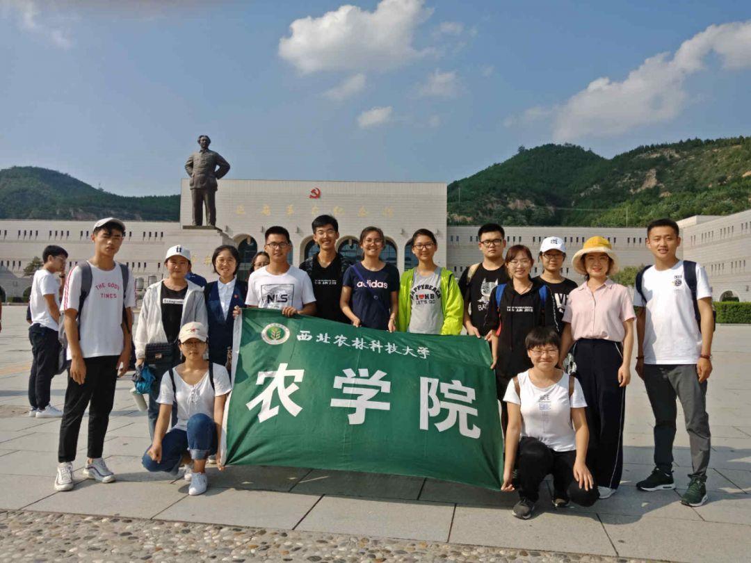 逃离幻想冰淇淋场